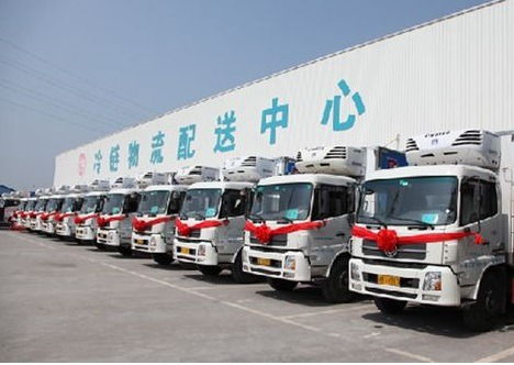 上海至青島冷凍運輸食品貨運 選擇正規(guī)冷藏物流公司的關(guān)鍵